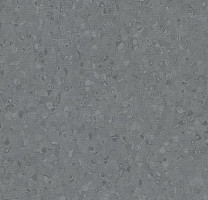 Линолеум Forbo Sphera Element 50010 iron фото 1 | FLOORDEALER